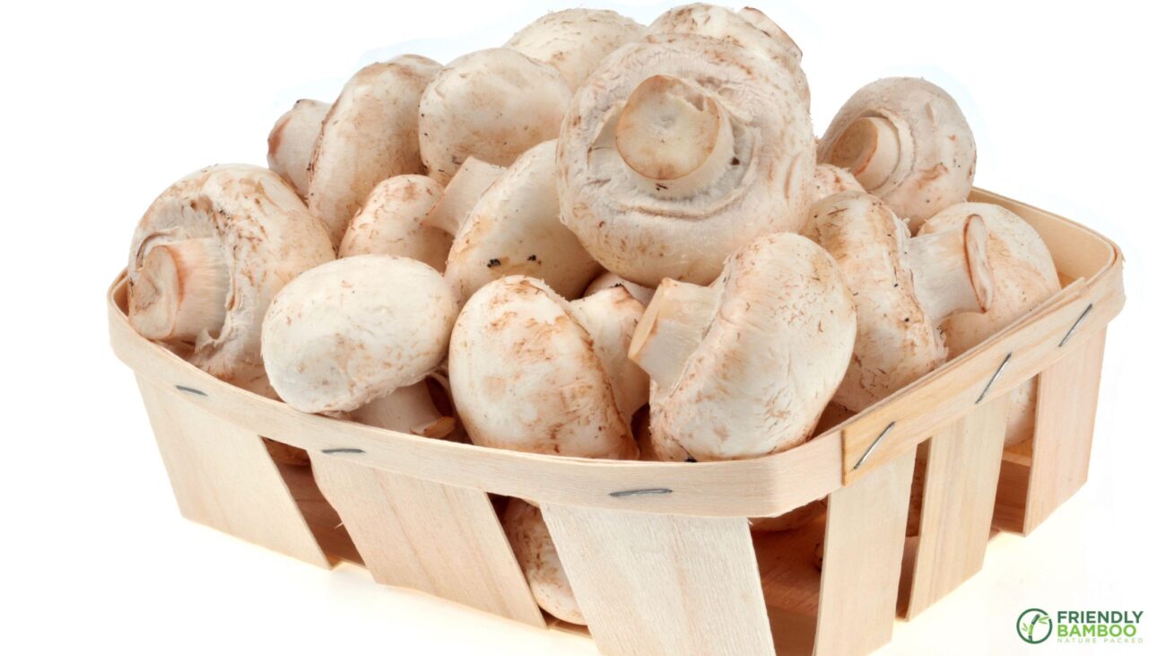 Mushroom Packaging