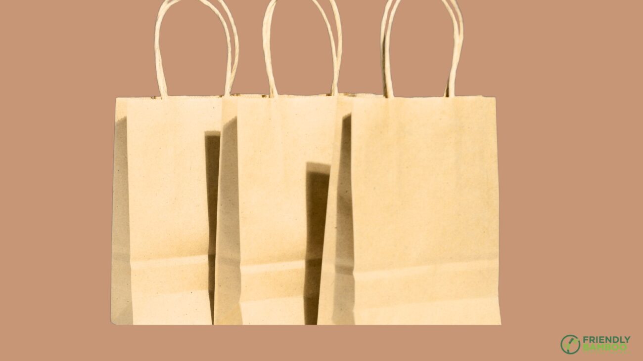 Recycled Kraft Mailers and Paper Bags