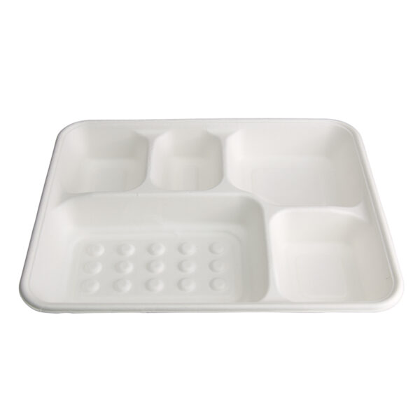 5 Compartment Packing Box - Sugarcane Container