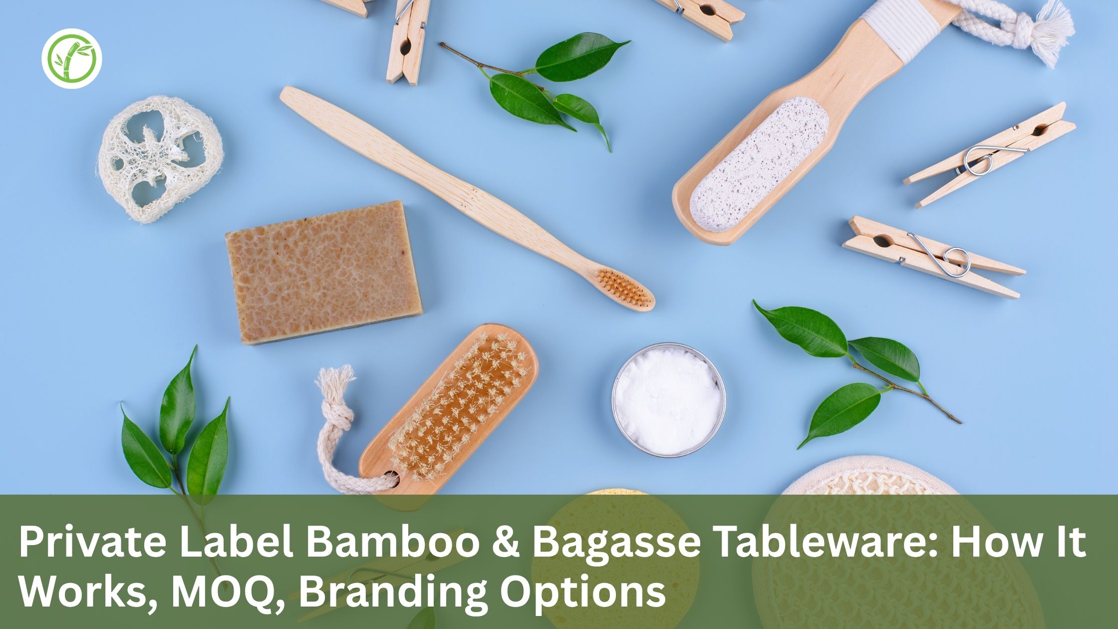 Private Label Bamboo & Bagasse Tableware: How It Works, MOQ, Branding Options