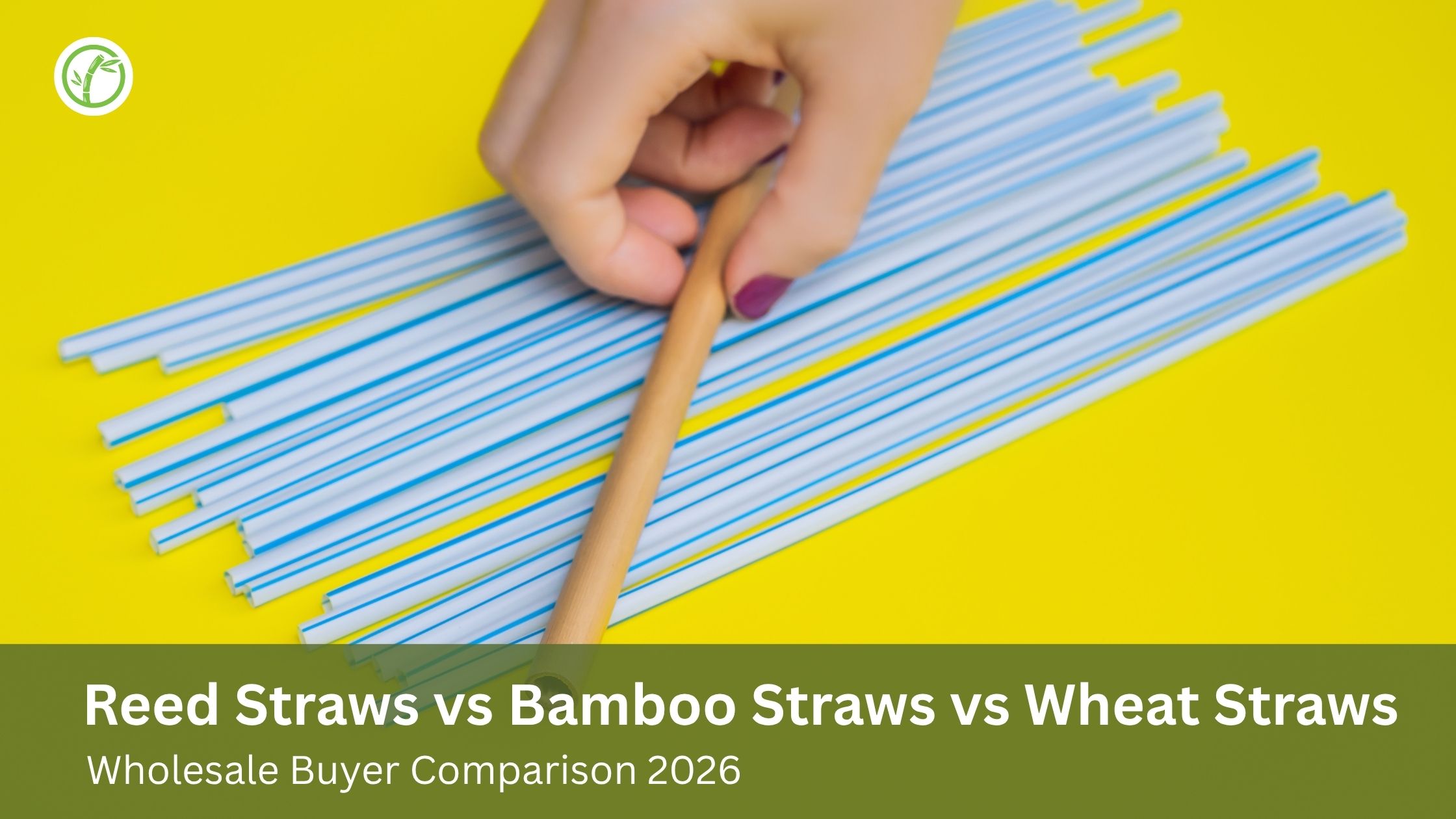 Reed Straws vs Bamboo Straws vs Wheat Straws: Wholesale Buyer Comparison 2026