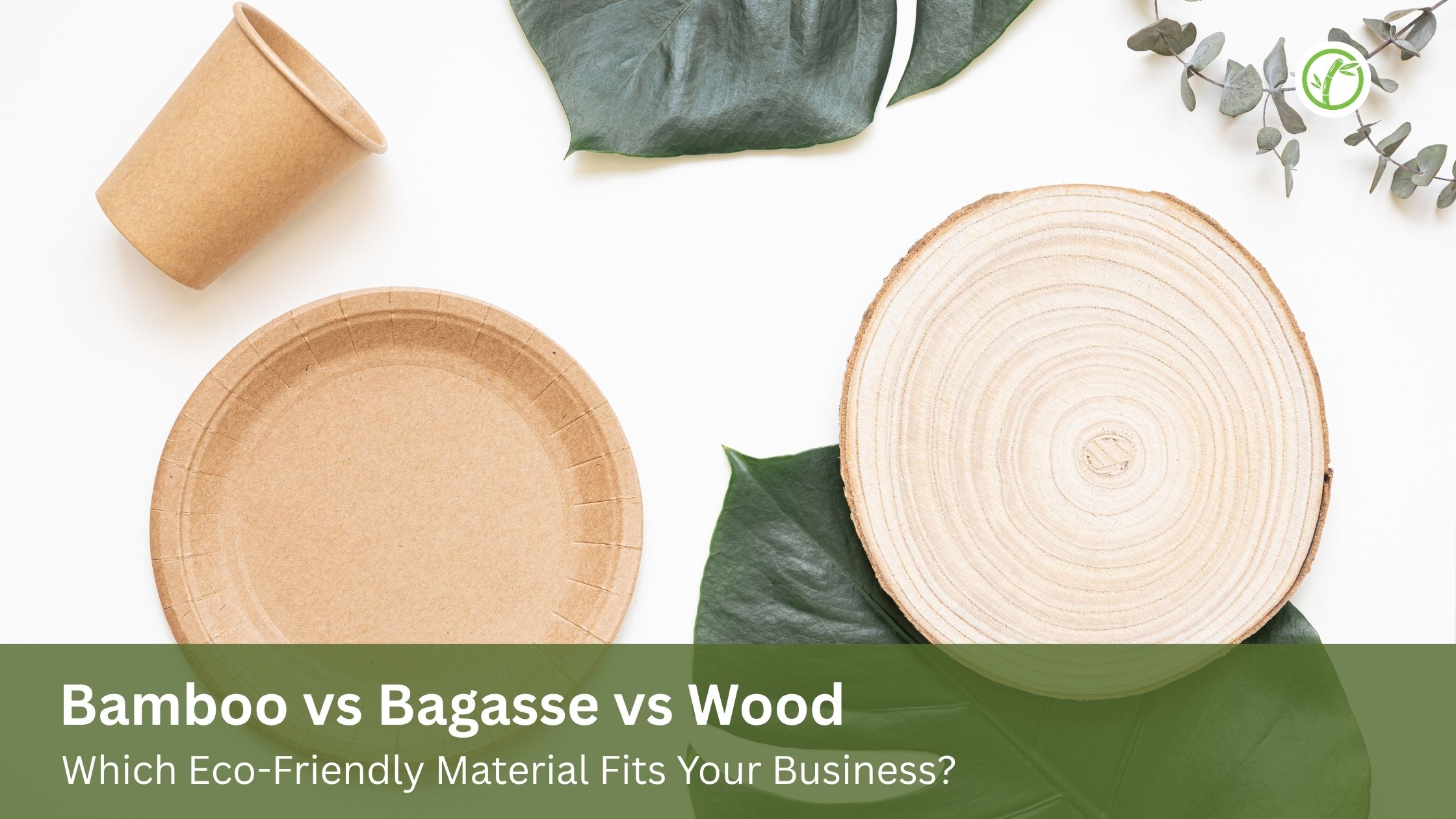 Bamboo vs Bagasse vs Wood: Which Eco-Friendly Material Fits Your Business?